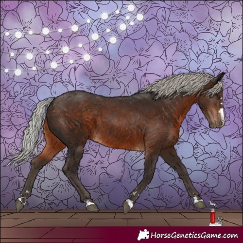 Horse Color:Silver Brown