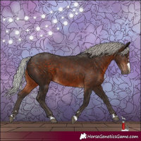 Horse Color:Silver Brown 