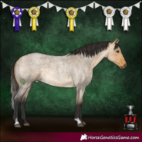 Horse Color:Buckskin Roan Dun Rabicano