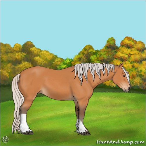 Horse Color:Silver Bay 