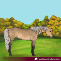 Horse Color:Silver Buckskin Dun 