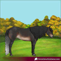 Horse Color:Brown 