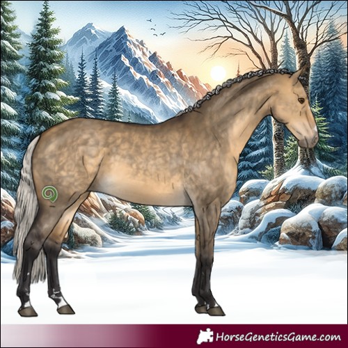 Horse Color:Silver Buckskin Dun 