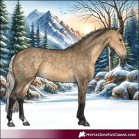 Horse Color:Silver Buckskin Dun 