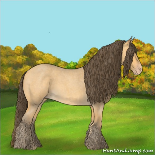 Horse Color:Amber Cream Champagne Roan 