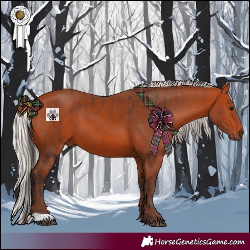 Horse Color:Bay  and Silver Bay 