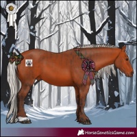 Horse Color:Bay  and Silver Bay 