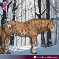 Horse Color:Black  and Chestnut Frame 