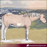 Horse Color:Silver Bay Dun Sabino Tobiano Frame Rabicano 