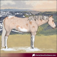 Horse Color:Silver Bay Dun Sabino Tobiano Frame Rabicano