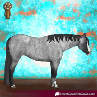 Horse Color:Blue Roan Sabino Splash and Blue Roan Sabino Splash