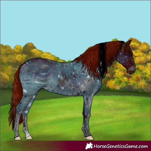 Horse Color:ERROR: UNKNOWN ANOMALY