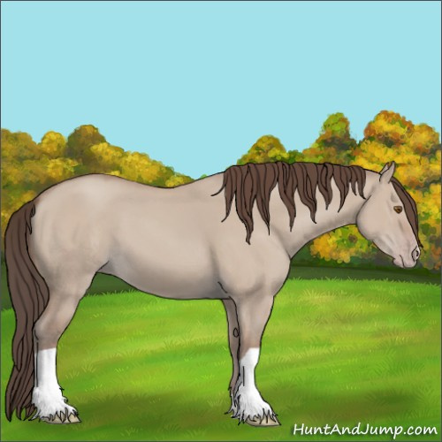 Horse Color:Classic Champagne Dun 