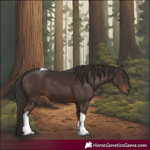 Horse Color:Liver Chestnut Tobiano 