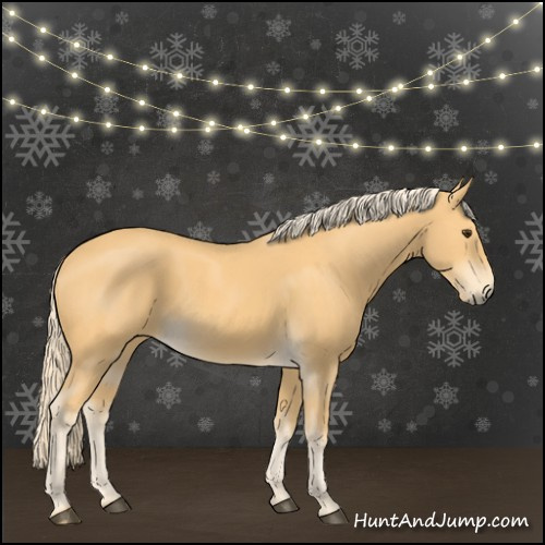 Horse Color:Palomino 