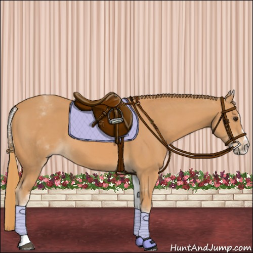Horse Color:White Spotted Chestnut Splash