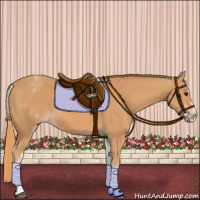 Horse Color:White Spotted Chestnut Splash 
