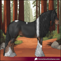 Horse Color:Liver Chestnut Tobiano 
