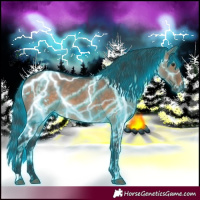 Horse Color:Thunderstruck Brown Dun  and Thunderstruck Brown Dun 
