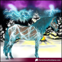 Horse Color:Thunderstruck Brown Dun  and Thunderstruck Brown Dun 