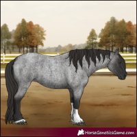 Horse Color:Liver Red Roan Tobiano