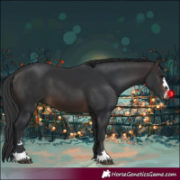 Horse Color:Brown 