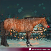 Horse Color:Bay Dun and Bay