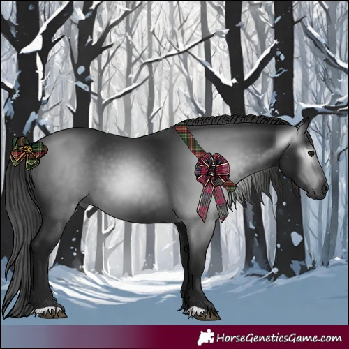Horse Color:Gray Black 