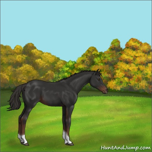 Horse Color:Liver Chestnut Tobiano 