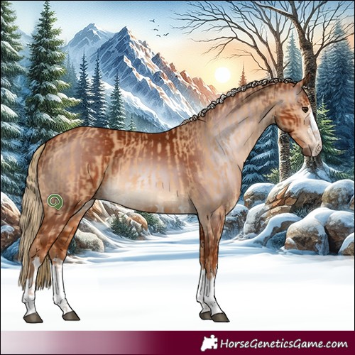 Horse Color:Red Dun and Gray Chestnut
