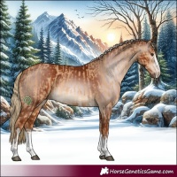 Horse Color:Red Dun and Gray Chestnut