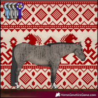 Horse Color:Black and Grullo