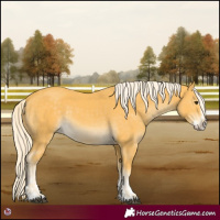 Horse Color:Palomino  and Palomino Splash 
