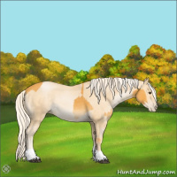 Horse Color:Palomino  and Palomino Pearl 