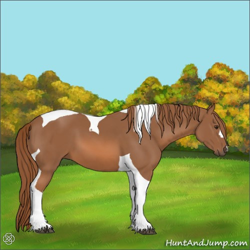 Horse Color:Chestnut Tobiano