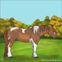 Horse Color:Chestnut Tobiano 