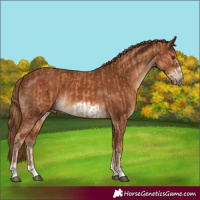 Horse Color:Chestnut Frame and Chestnut