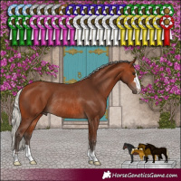 Horse Color:Silver Brown Rabicano 
