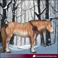 Horse Color:Bay Roan Dun and Chestnut