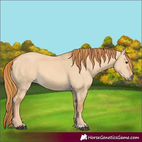 Horse Color:Red Dun 