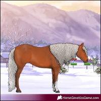 Horse Color:Silver Bay Sabino Rabicano 