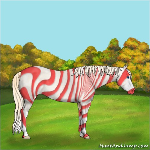 Horse Color:Cremello Splash  and Palomino Splash 