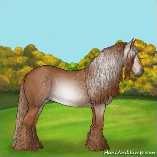 Horse Color:Gray Chestnut