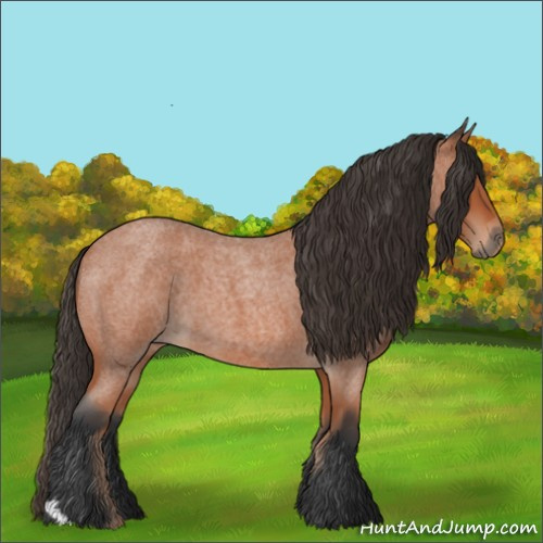 Horse Color:Bay Roan 