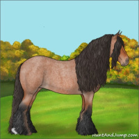 Horse Color:Bay Roan 