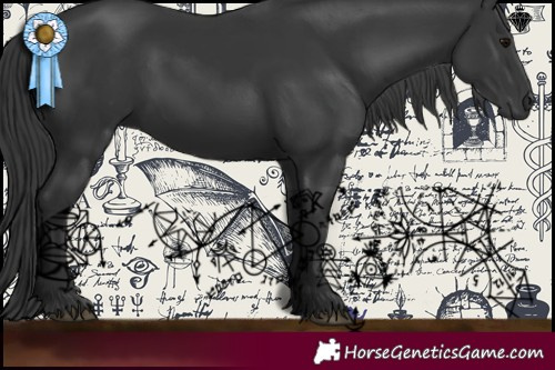 Horse Color:Black 