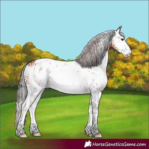 Horse Color:White Spotted Silver Brown Sabino 