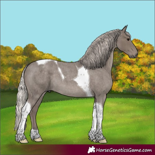 Horse Color:Silver Blue Roan Tobiano 
