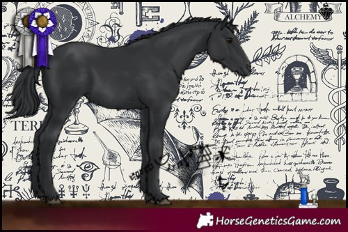 Horse Color:Black 