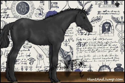 Horse Color:Black 